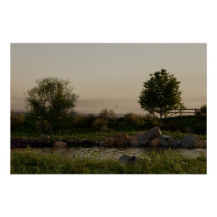 Meadow Lake Poster