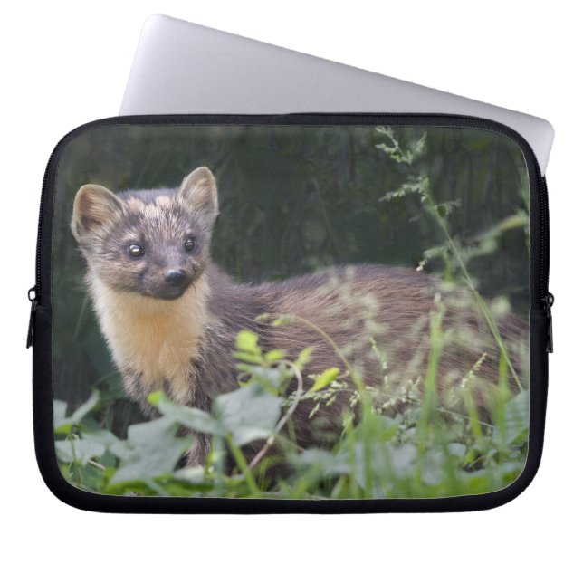 Meadow Marten Laptop Sleeve (Front)