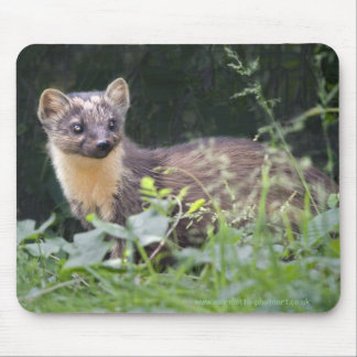 Meadow Marten Mousemat