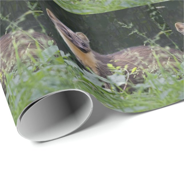 Meadow Marten Wrapping Paper (Roll Corner)