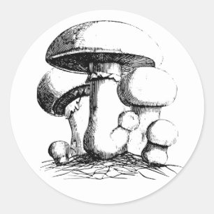 Meadow Mushrooms Stickers