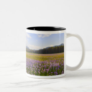 Meadow of penstemon wildflowers in the 2 Two-Tone coffee mug