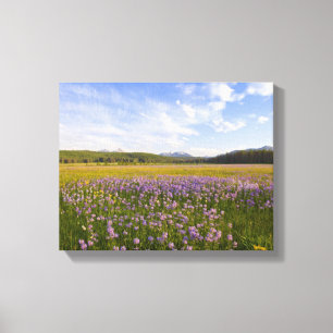 Meadow of penstemon wildflowers in the canvas print