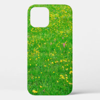 Meadow of wild flowers of the Dolomites Alps on su