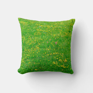 Meadow of wild flowers of the Dolomites Alps on su Cushion