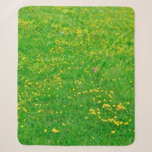 Meadow of wild flowers of the Dolomites Alps on su Sherpa Blanket