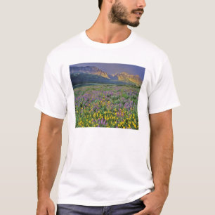 Meadow of wildflowers in the Many glacier T-Shirt