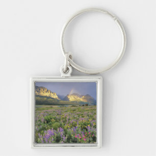 Meadow of Wildflowersnear Lake Sherbourne in Key Ring