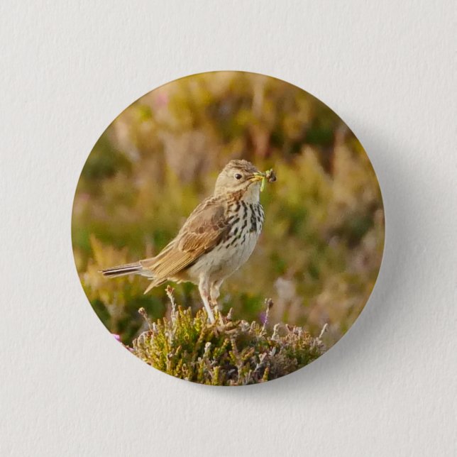 Meadow Pipit Badge  (Front)