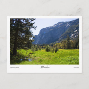Meadow Postcard