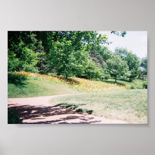 Meadow Poster (Front)