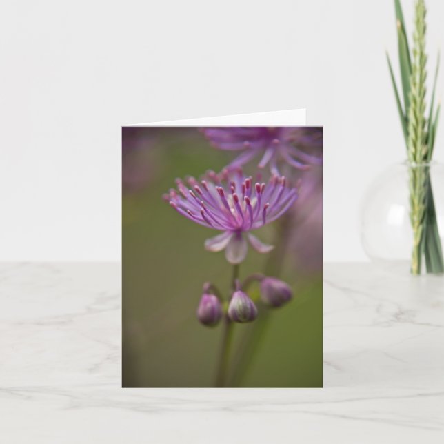 Meadow Rue Note Card (Front)