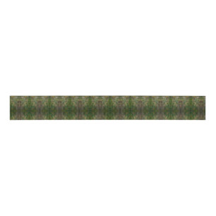 Meadow Seeds Grosgrain Ribbon