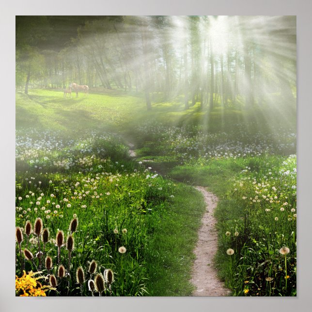 Meadow Trail Poster (Front)