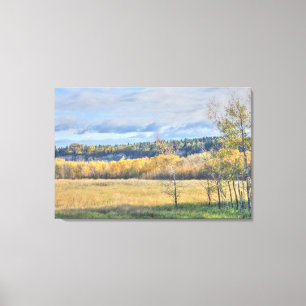 Meadow with Aspens Canvas Print