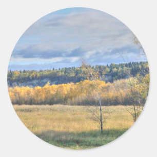 Meadow with Aspens Classic Round Sticker