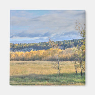 Meadow with Aspens Magnet
