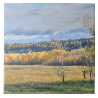 Meadow with Aspens Tile