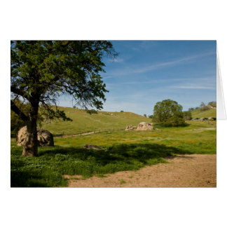 Meadow with Live Oaks and Boulders