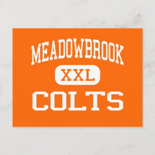 Meadowbrook - Colts - High School - Byesville Ohio Postcard