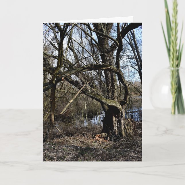 Meadowlands nature card (Front)