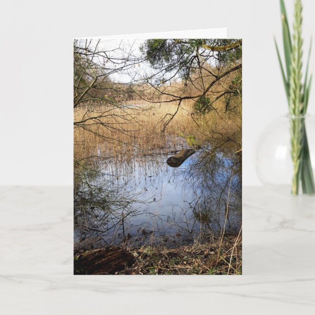 Meadowlands nature card (Front)