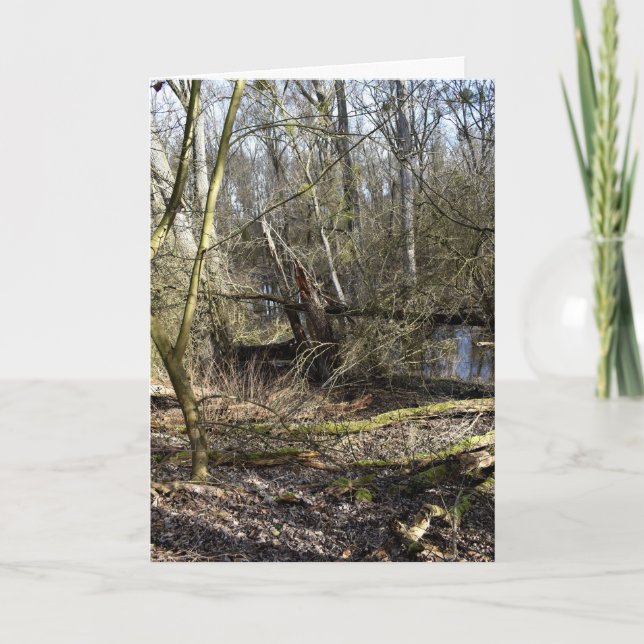 Meadowlands nature card (Front)
