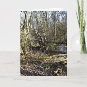 Meadowlands nature card