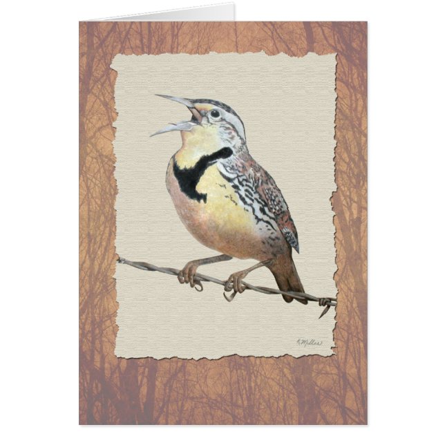 Meadowlark (Front)
