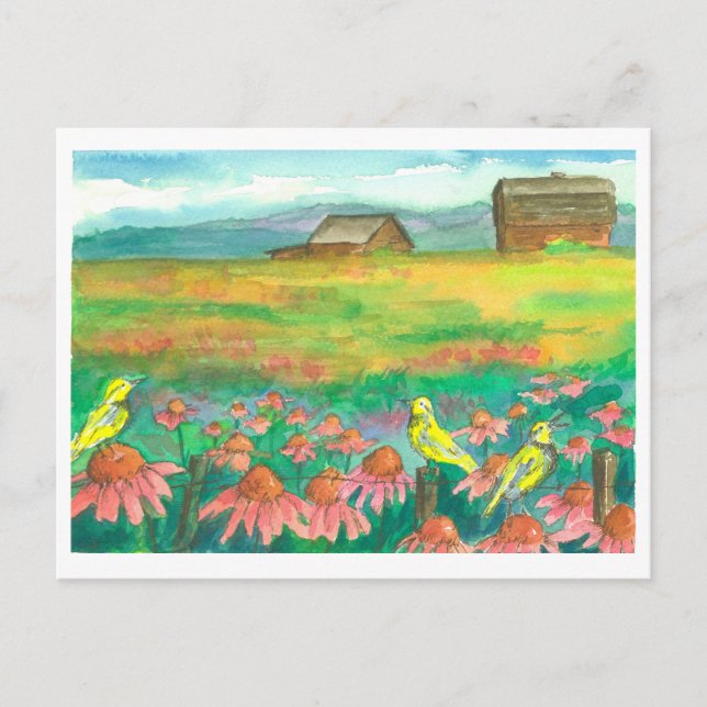 Meadowlark Birds Watercolor Flowers Painting Postcard (Front)