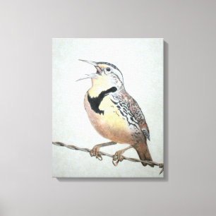Meadowlark Canvas Print