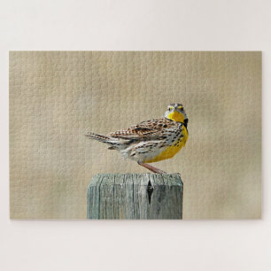 Meadowlark jigsaw puzzle