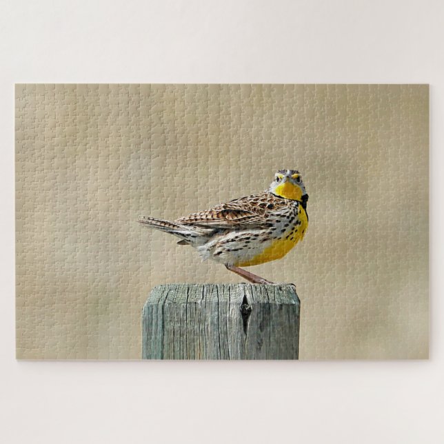 Meadowlark  jigsaw puzzle (Horizontal)