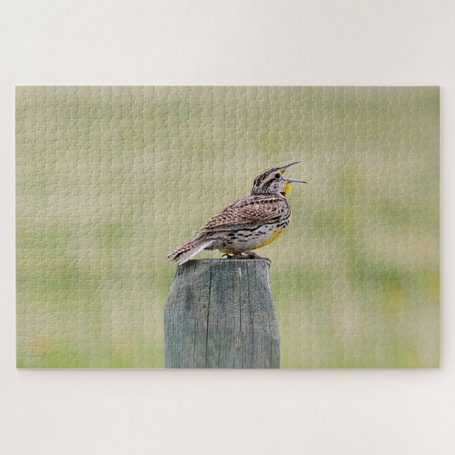 Meadowlark  jigsaw puzzle (Horizontal)