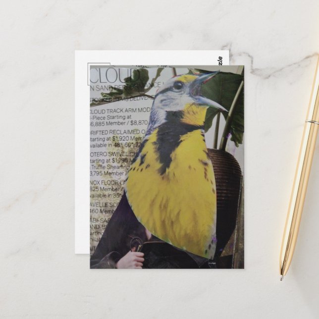 Meadowlark Surreal Collage Postcard (Front/Back In Situ)