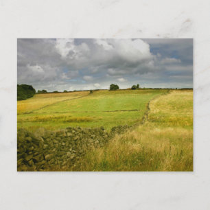 Meadows and Walls Postcard