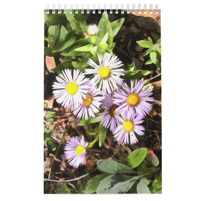 Meadows in Bloom 1-Year Calendar (Cover)