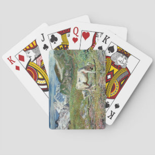 Meadows in Spring Playing Cards