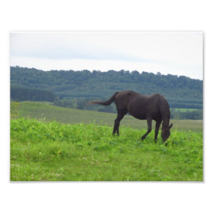 Meadows of Love Photo Print