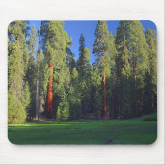 Meadows Sequoia Mouse Mat
