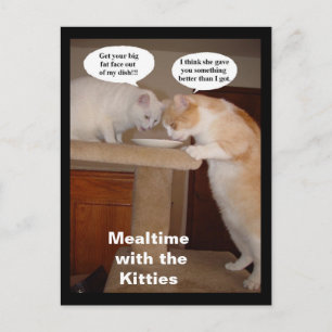 Mealtime with the Kitties Postcard
