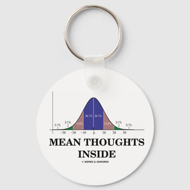 Mean Thoughts Inside (Statistics Humour) Key Ring (Front)