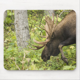 Meandering Moose Mouse Mat