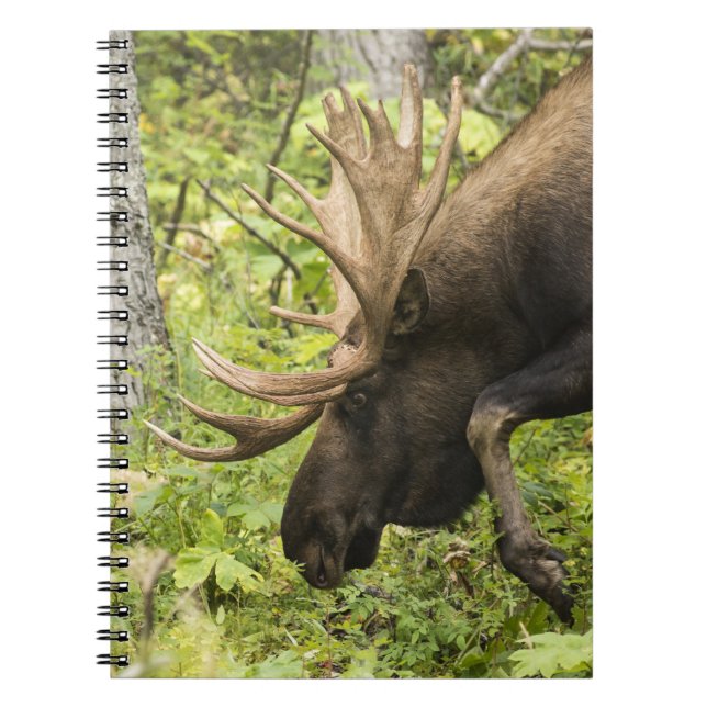 Meandering Moose Notebook (Front)