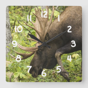 Meandering Moose Square Wall Clock