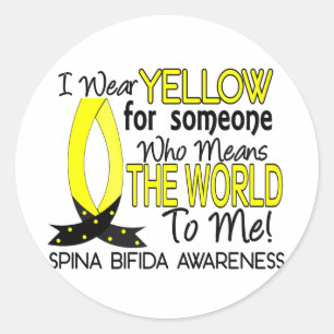 Means World To Me 1 Spina Bifida Classic Round Sticker
