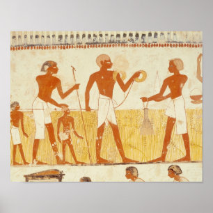 Measuring the land using rope poster