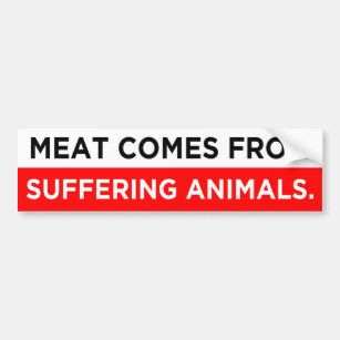 meat comes from suffering animals vegan bumper sticker