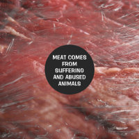 Meat Comes from Suffering..., Vegan Activism