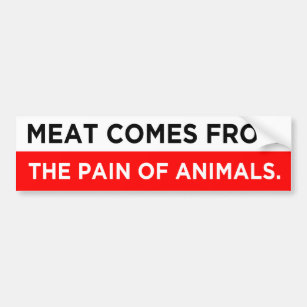 meat comes from the pain of animals vegan  bumper sticker